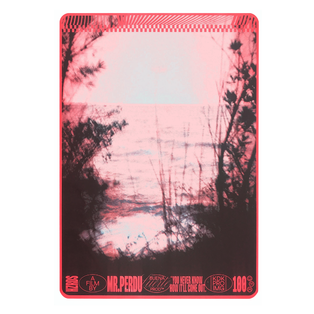 MAXIME PERDU - HASARD 1