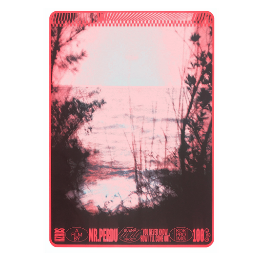 MAXIME PERDU - HASARD 1